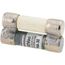 Bussmann 0.3 Amp Time-Delay Fuse (250V)