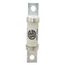 Bussmann 100 Amp Fast-Acting Class aR Fuse (700V)