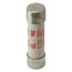 Bussmann 25 Amp Fast-Acting Class aR Fuse, Blade Ends (700V)