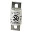 Bussmann 100 Amp Fast-Acting Fuse (250V)