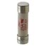 Bussmann 15 Amp Fast-Acting Class aR Fuse (250V)