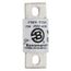Bussmann 150 Amp Fast-Acting Fuse (600V)