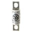 Bussmann 40 Amp Fast-Acting Fuse (250V)