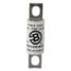 Bussmann 50 Amp Fast-Acting Fuse (250V)