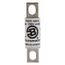 Bussmann 60 Amp Fast-Acting Fuse (250V)