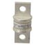 Bussmann 150 Amp Fast-Acting Class T Fuse (300V)