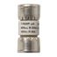 Bussmann 15 Amp Fast-Acting Class T Fuse (300V)