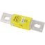 Bussmann 800 Amp Time-Delay Class L Power Fuse (600V)