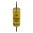 Bussmann 100 Amp Time-Delay Class J Fuse (600V)