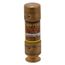 Bussmann 1 Amp Time-Delay Class RK1 Power Fuse (250V)