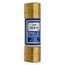 Bussmann 10 Amp Fast-Acting Class H Power Fuse (250V)