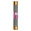 Bussmann 20 Amp Fast-Acting Class H Power Fuse (600V)