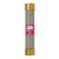 Bussmann 6 Amp Fast-Acting Class H Power Fuse (600V)