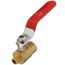 1/8" FIP x MIP Full Port Forged Brass Mini Ball Valve