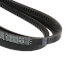 TorqTitan Gripnotch Belt w/ 137.8" Pitch