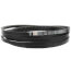 TorqTitan Gripnotch Belt w/ 196.8" Pitch