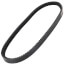 TorqTitan Gripnotch Belt w/ 29.8" Pitch