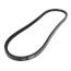 TorqTitan Gripnotch Belt w/ 41.8" Pitch
