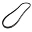 TorqTitan Gripnotch Belt w/ 47.8" Pitch