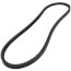 TorqTitan Gripnotch Belt w/ 48.8" Pitch