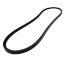 TorqTitan Gripnotch Belt w/ 51.8" Pitch