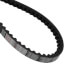 TorqTitan Gripnotch Belt w/ 59.8" Pitch