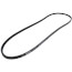 TorqTitan Gripnotch Belt w/ 70.8" Pitch