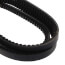 TorqTitan Gripnotch Belt w/ 79.8" Pitch