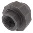 1" Extra Heavy Black Union