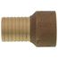 1-1/4" FPT x Insert Female Adapter (Lead Free)