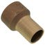 1-1/4" FPT x Insert Female Adapter (Lead Free)