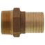 1-1/2" MPT x Insert Male Adapter (Lead Free)