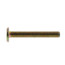 1/4" x 1-3/4" Brass Plated Closet Bolt (Box of 100)