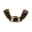5/16-18" Brass Plated Forged Wing Nut