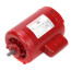 56Y Frame Armstrong Open Dripproof Hot Water Circulator Pump Motor (115/230V, 1725 RPM, 3/4 HP)