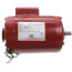 56Y Frame Open Dripproof Hot Water Circulator Pump Motor (115/230V, 1725 RPM, 1/2 HP)