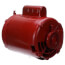 56Y Frame Open Dripproof Hot Water Circulator Pump Motor (115/230V, 1725 RPM, 3/4 HP)