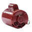56Y Frame Taco Open Dripproof Hot Water Circulator Pump Motor (230/115V, 1725 RPM, 1 HP)