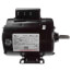 56 Frame Totally-Enclosed Rigid Base Farm Duty Motor (115/230V, 1725 RPM, 1/3 HP)
