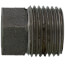 1/2" 3000# A105N Carbon Steel Solid Square Head Plug (NPT)