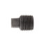 1/4" 3000# A105N Carbon Steel Solid Square Head Plug (NPT)