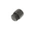 3/8" 3000# A105N Carbon Steel Solid Square Head Plug (NPT)