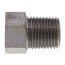 1/8" 3000# A105N Carbon Steel Hex Head Plug (NPT)