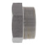 2" 3000# A105N Carbon Steel Hex Head Plug (NPT)