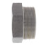 3" 3000# A105N Carbon Steel Hex Head Plug (NPT)