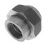 2" 3000# A105N Carbon Steel Union (NPT)