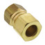 (66-62) 3/8" OD x 1/8" FIP Brass Compression Connector, Lead Free