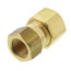 (66-62) 3/8" OD x 1/8" FIP Brass Compression Connector, Lead Free