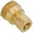 (66-68) 3/8" OD x 1/2" FIP Brass Compression Connector (Lead Free)