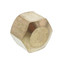 (61C-8) 1/2" OD Brass Compression Cap (Lead Free)